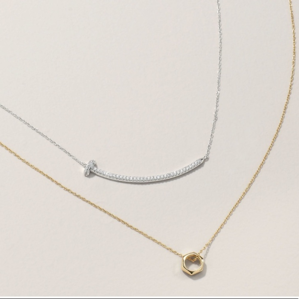 Stella & Dot Mixed Metal Ultra Delicate Hardware Necklace Duo - Picture 2 of 16